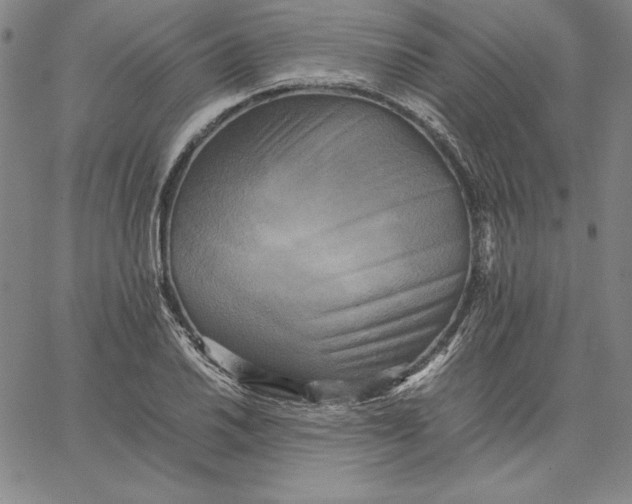 X0000066521030200604071547