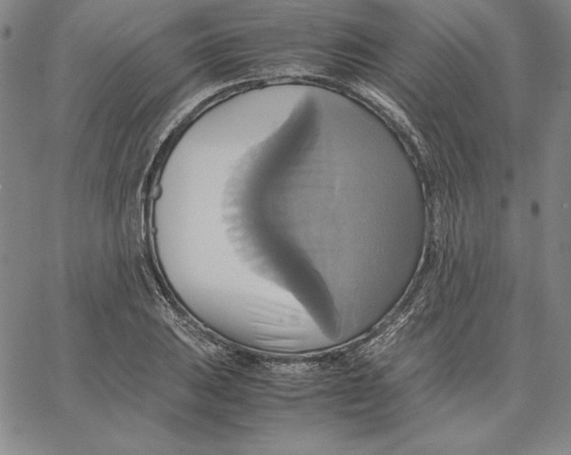 X0000066521031200604071547