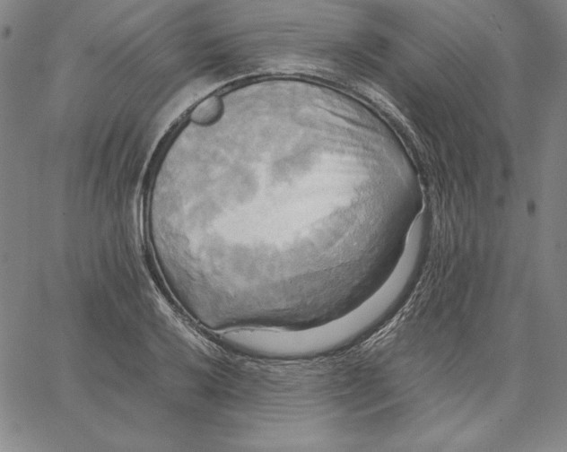 X0000066521032200604071547