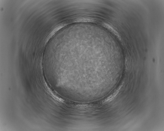 X0000066521033200604071547