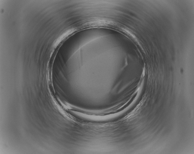 X0000066521034200604071547