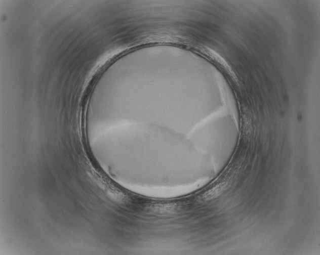 X0000066521035200604071547