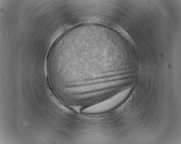 X0000066521036200604071547