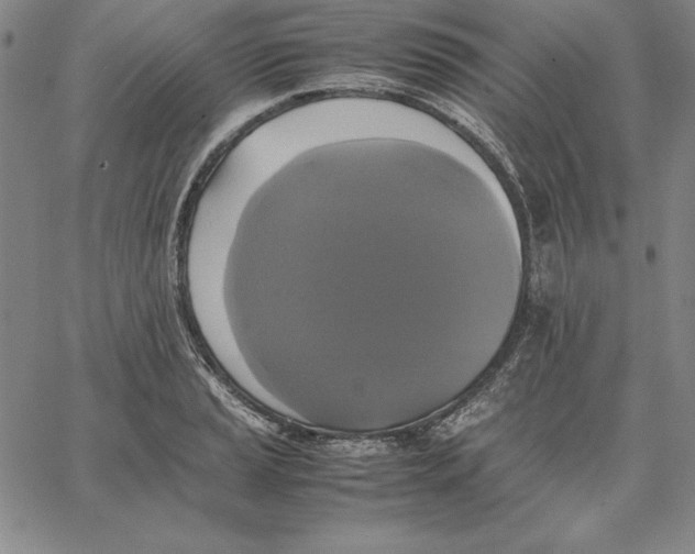 X0000066521037200604071547