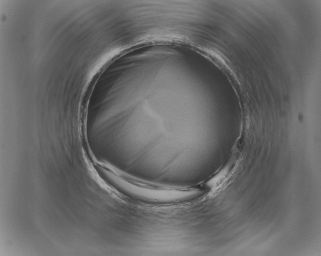 X0000066521038200604071547