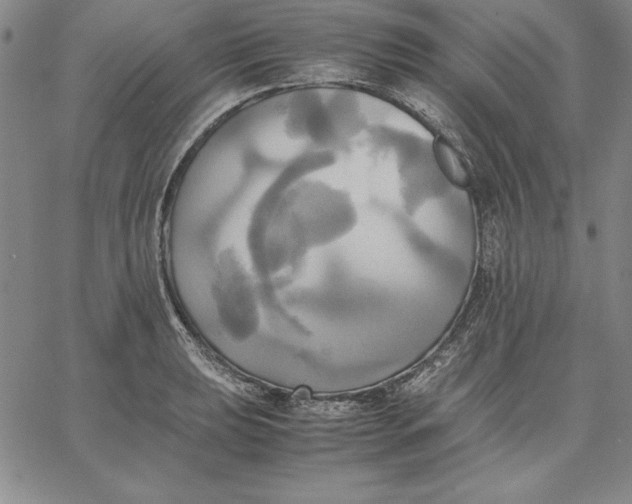 X0000066521039200604071547