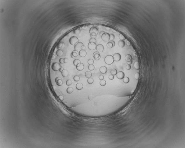 X0000066521040200604071547