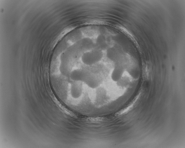 X0000066521041200604071547