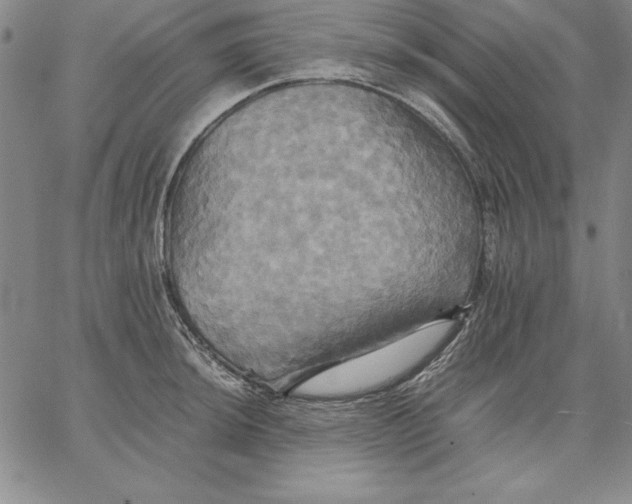 X0000066521044200604071547