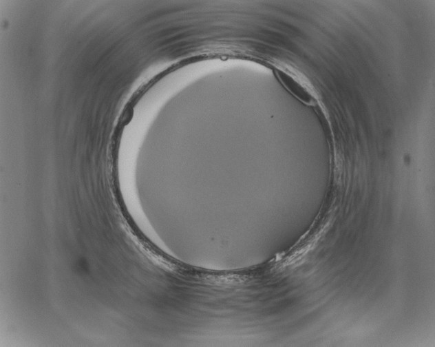 X0000066521045200604071547