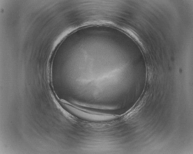 X0000066521046200604071547