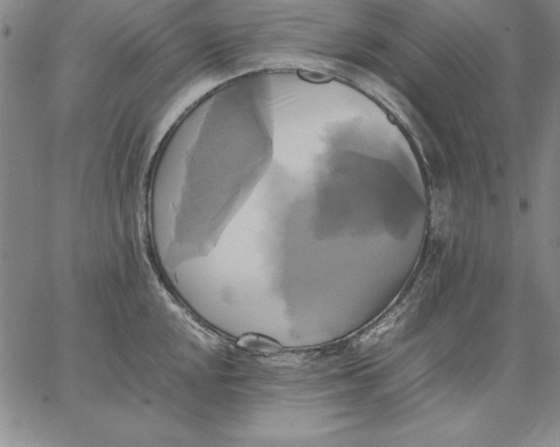 X0000066521048200604071547