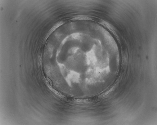 X0000066521049200604071547