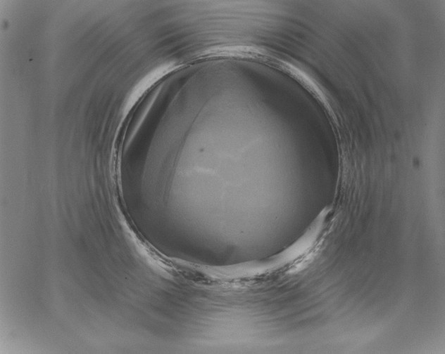 X0000066521050200604071547