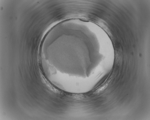 X0000066521052200604071547