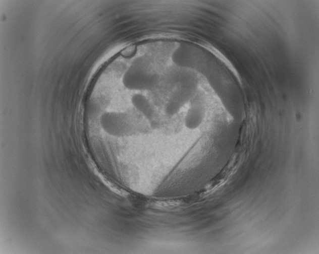 X0000066521053200604071547