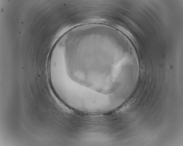 X0000066521055200604071547