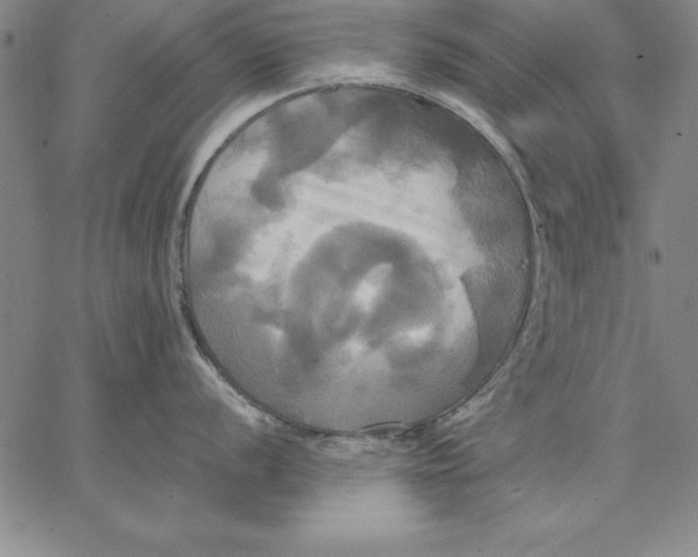 X0000066521056200604071547