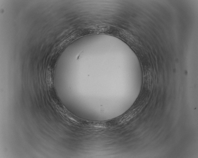 X0000066521058200604071546