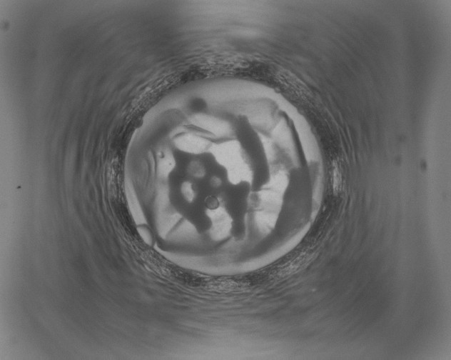 X0000066521059200604071546