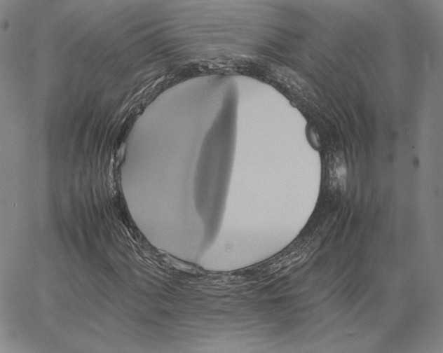 X0000066521060200604071546