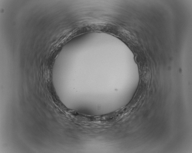 X0000066521061200604071546