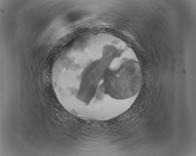 X0000066521063200604071546