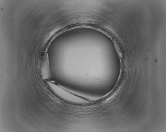 X0000066521065200604071546