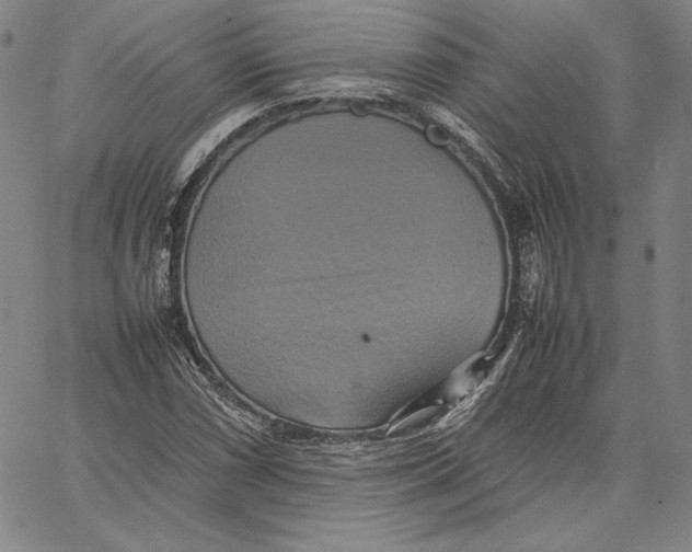 X0000066521066200604071546