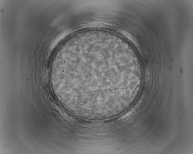 X0000066521067200604071546