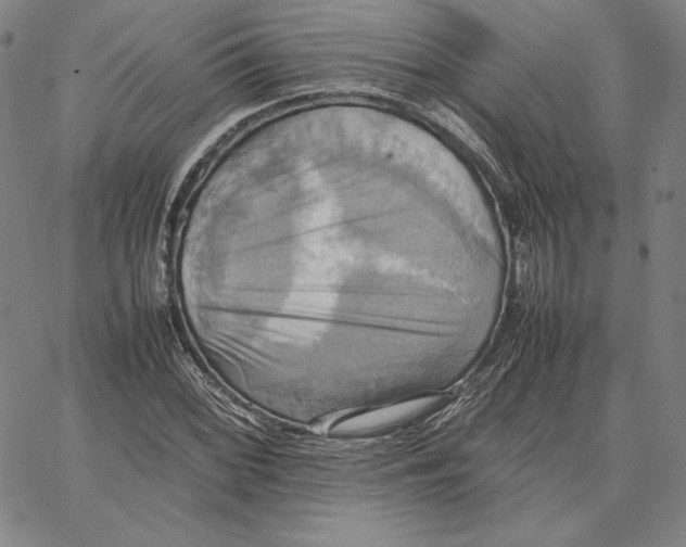 X0000066521068200604071546