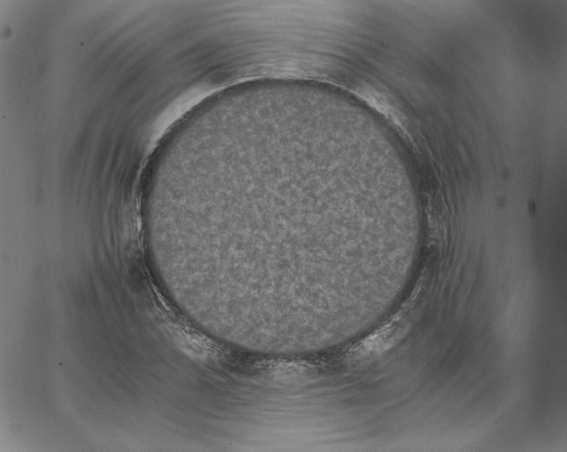 X0000066521070200604071546