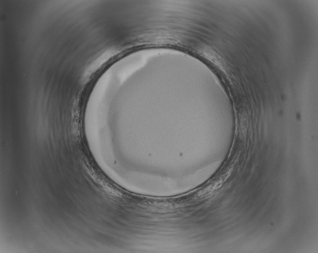 X0000066521071200604071546