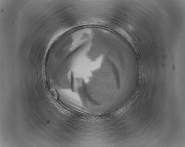 X0000066521072200604071546