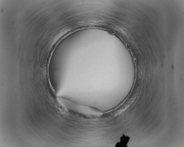 X0000066521073200604071546