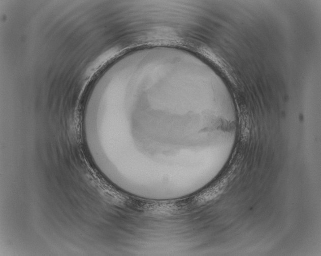 X0000066521074200604071546