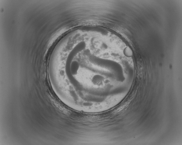 X0000066521075200604071546