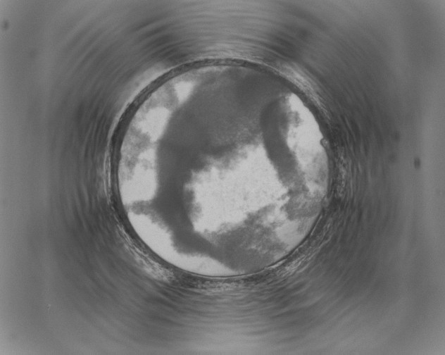 X0000066521076200604071546