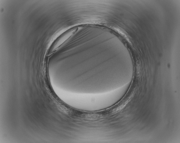 X0000066521077200604071546