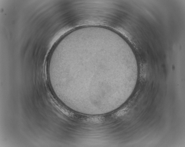 X0000066521078200604071546