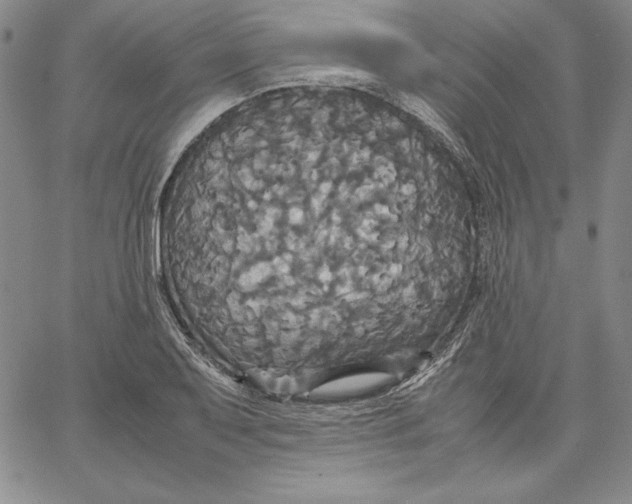 X0000066521079200604071546