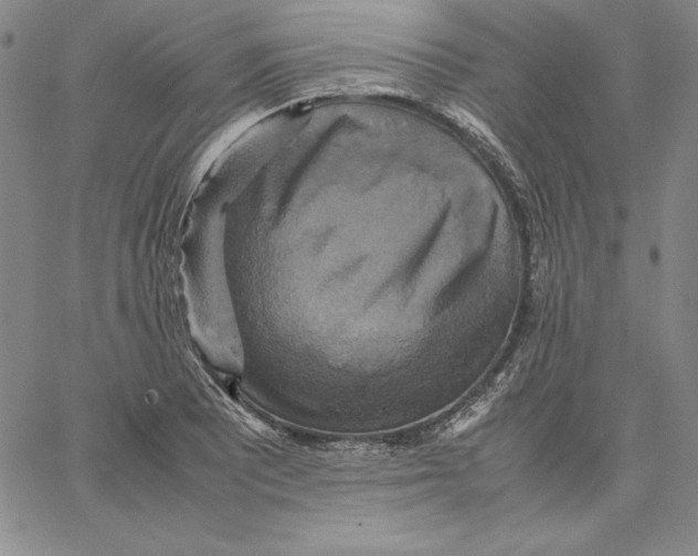 X0000066521081200604071546