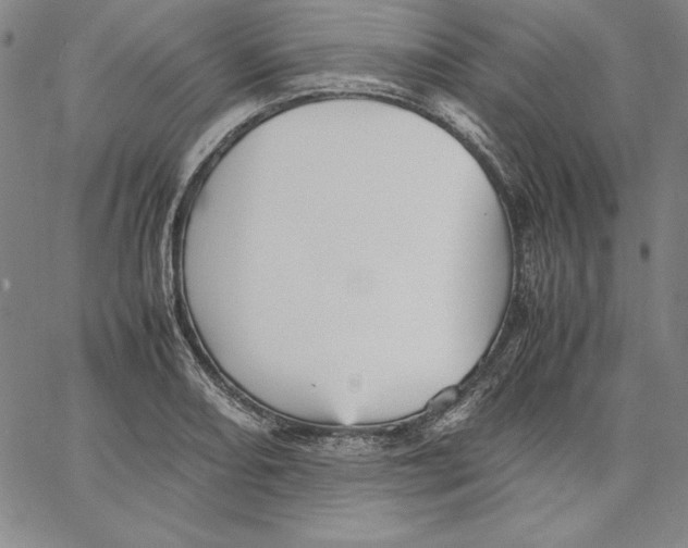 X0000066521082200604071546