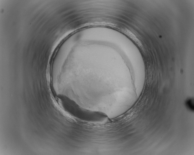 X0000066521084200604071546