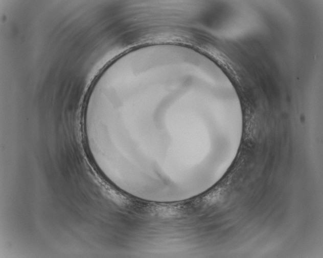 X0000066521086200604071546