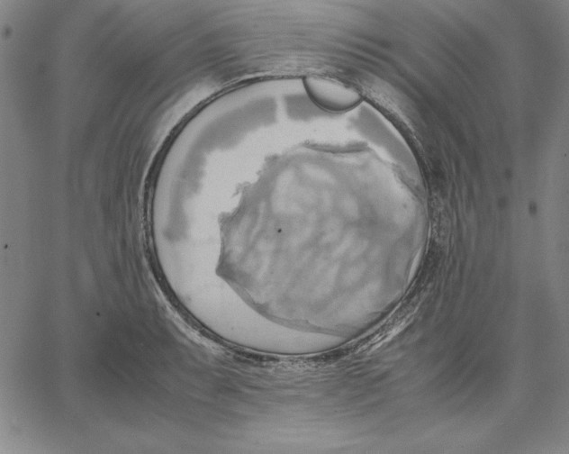 X0000066521087200604071546