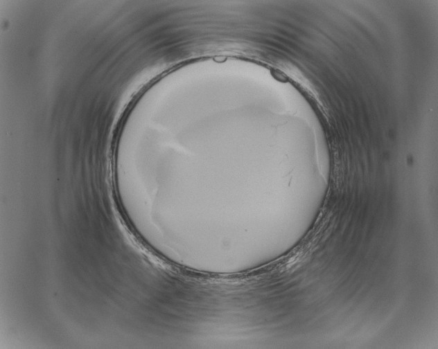 X0000066521088200604071546