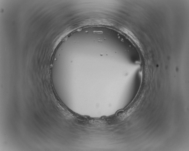 X0000066521089200604071546