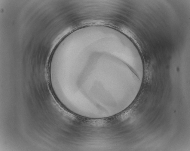 X0000066521090200604071546