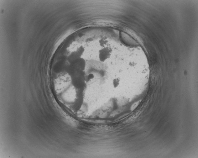 X0000066521091200604071546